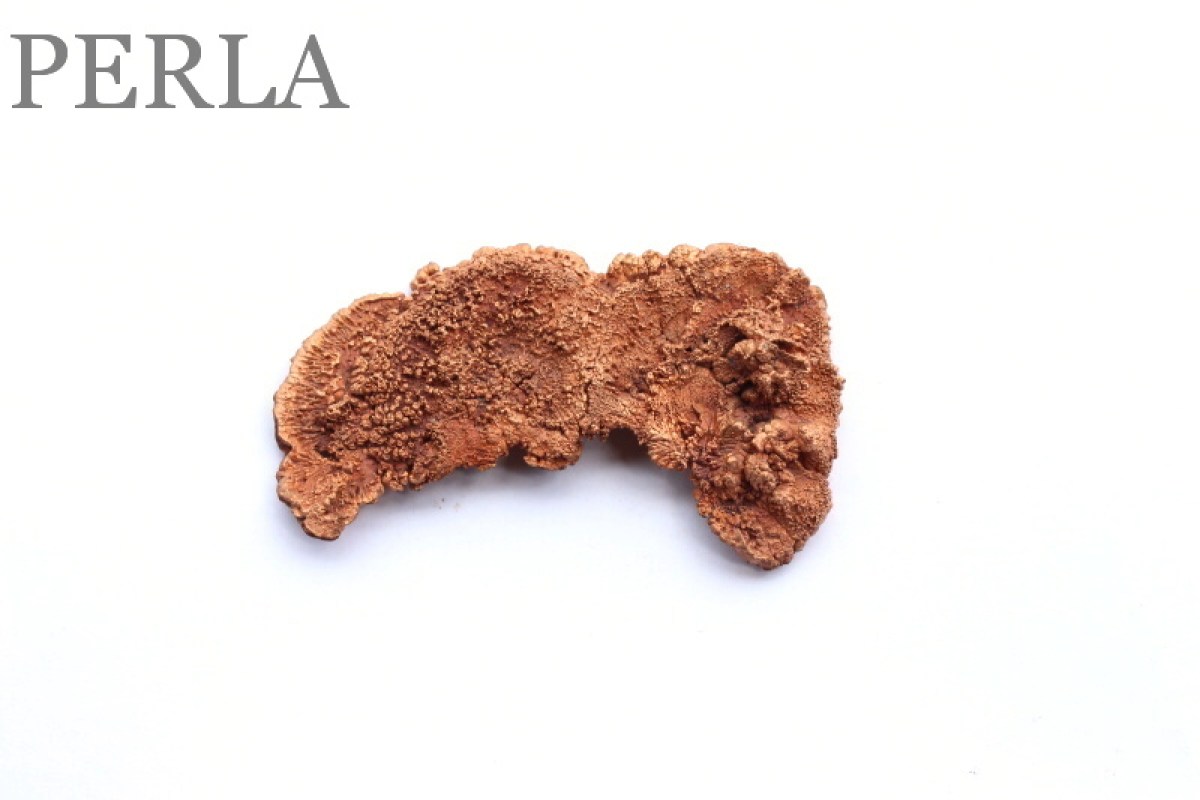 IMG_1688